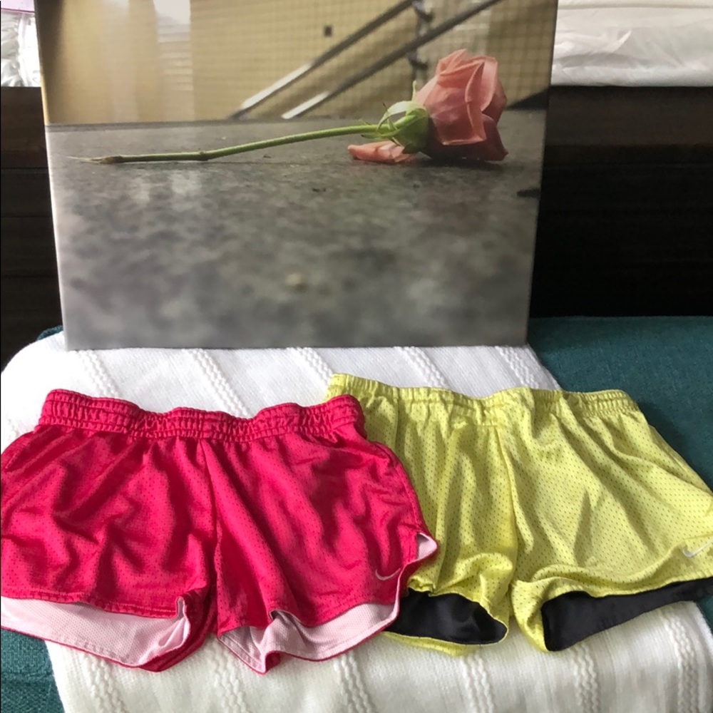 Nike mesh shorts (2)